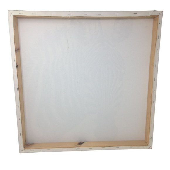 Fun Zebra Canvas Print 19.5" x 19.5" (Square) - Bold Art Piece - Picture 2 of 5